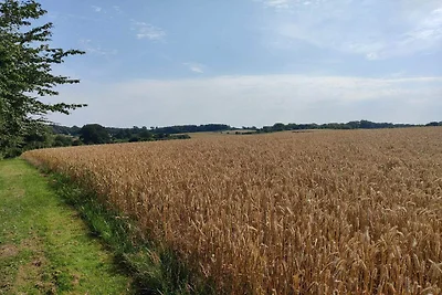 Casa vacanze ben tenuta a Faborg
