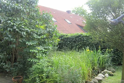 Ostfriesenperle