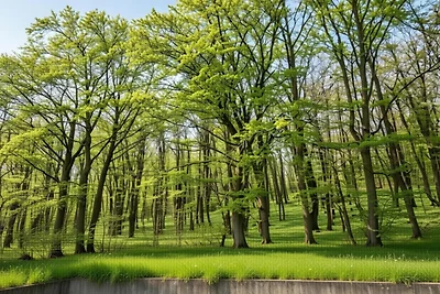 Modernes Apartment im Ferienpark Hambachtal