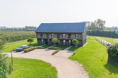 Ferienhaus in Vrouwenpolder in Strandnähe