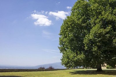 Gemütliches Ferienhaus mit Garten