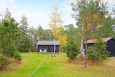 4 sterren vakantie huis in Klintehamn-By...