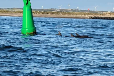 4 Personen Ferienhaus in Thyborøn