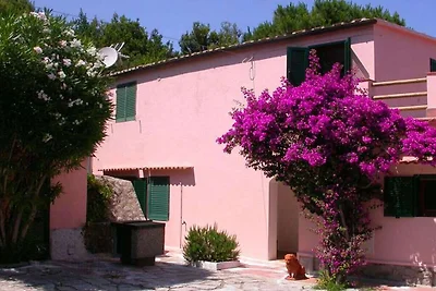 Casa Rosa di Redinoce Isola d'Elba