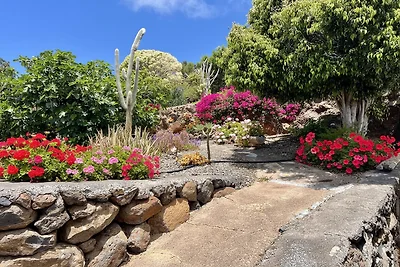 Verblijf aan de kust met zwembad in Vera
