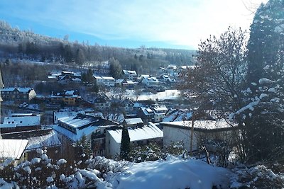 Ferienhaus in Willingen mit eigenem Garten