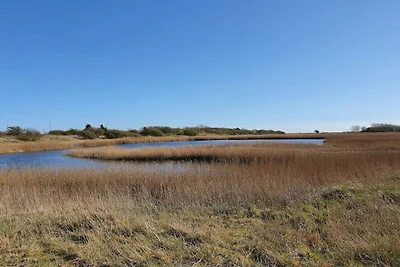 Retro Strand Ruckzug in Gedesby