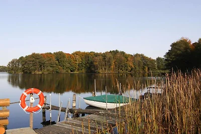 Ferienhaus Hygge am Dümmer See in Dümmer