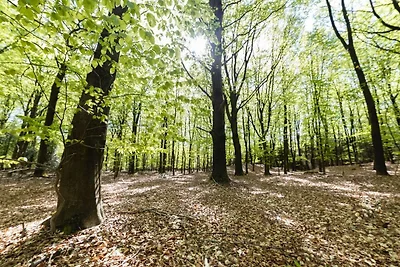 Ferienhaus mit Sauna, im Naturschutzgebiet