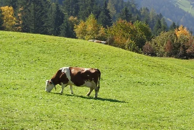 Astenstadl Zillertal