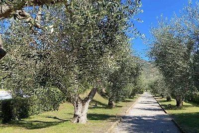 San't Anna del Volterraio - I Lecci 6