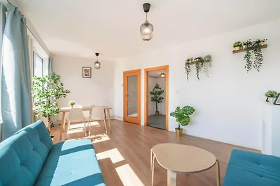 Große Apartments im Stadtzentrum von Antwerpe...
