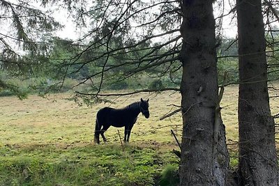 Ruime vakantiewoning nabij Willingen met tuin