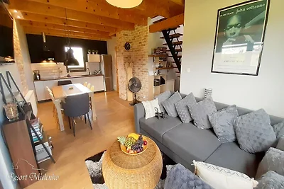 Comfortabel vakantiehuis met sauna en...