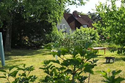 Ferienhaus mit 3 Schlafzimmer