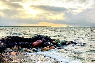 4 stelle case ad Nordborg