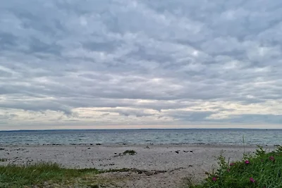 5 Personen Ferienhaus in Tranekær-By Traum