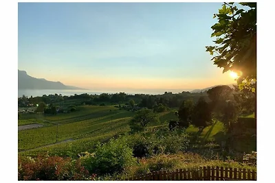 La Vigneronne, Garden