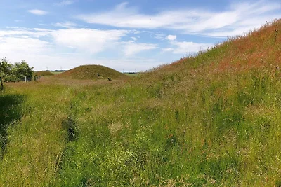 10 persoons vakantie huis in Ranum