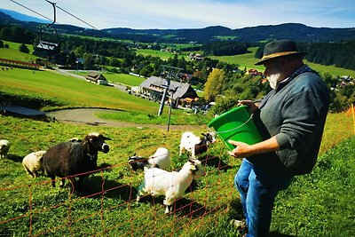 Ferienhaus in Gaal im Murtal