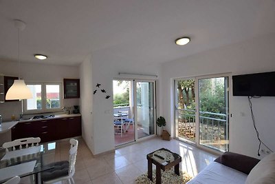 Spacious Apartment in Mandre with Terrace