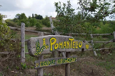 Pomantello-Juliet