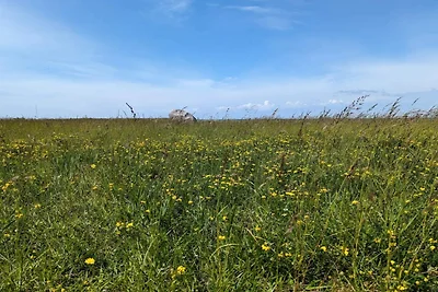 Retro Strand Ruckzug in Gedesby