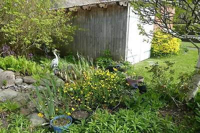 La casa frisona della nonna Anna