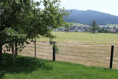 Ferienwohnung mit 2 Schlafzimmer