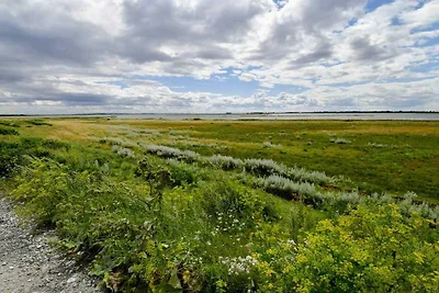 8 Personen Ferienhaus in Otterup-By Traum
