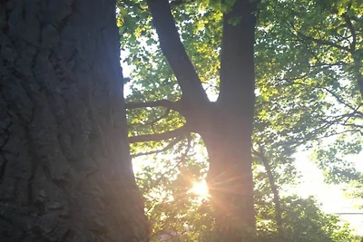 Unterm Sternenhimmel