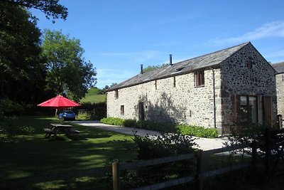 Schönes Ferienhaus mit Kamin in Tavistock