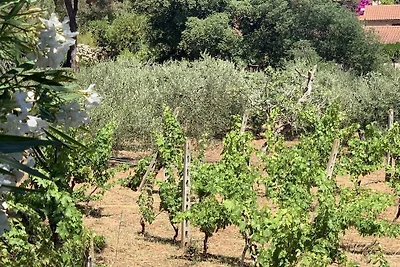 Appartamento Gelsomino