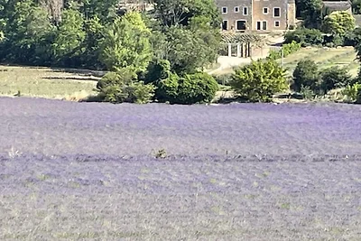 Domaine de Valmenon Comfortabele...