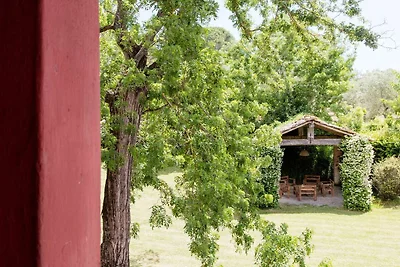 Casa vacanze Vacanza di relax Pisa