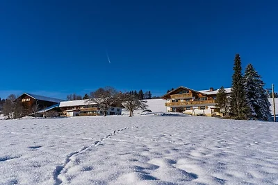 Arnika auf dem Berghof Lingg
