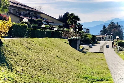 Collina da Sogno
