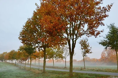 4 nella Seehaus Hartwigsdorf