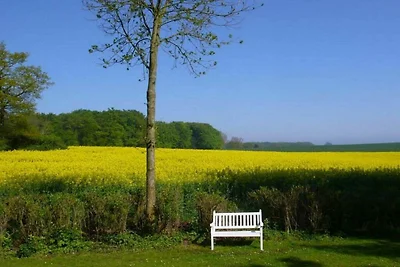 Ferienhaus mit 3 Schlafzimmer