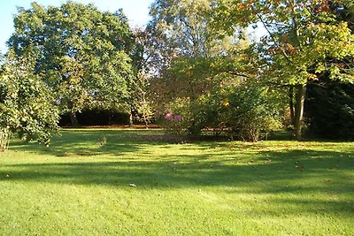 "Sonnenwohnung an der Schlei"