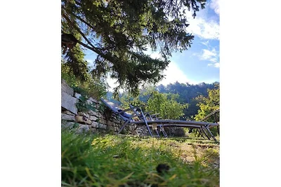 "Wohnen im Weinberg"