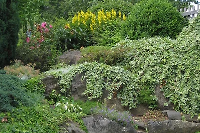 Moderne woning met tuin midden in een...