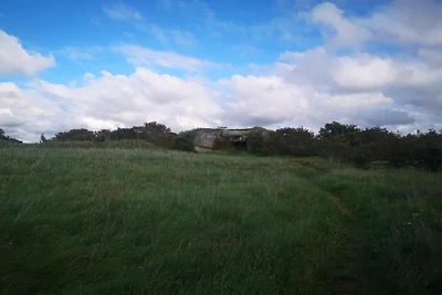 6 persoons vakantie huis in Skjern-By Traum