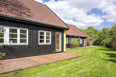 5 Sterne Ferienhaus in Liseleje