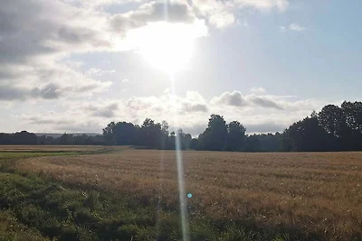 7 Personen Ferienhaus in Borlänge-By Traum