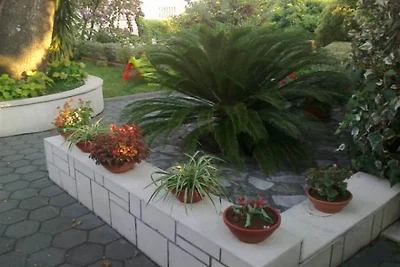 Apartman Borić A1 - Studio