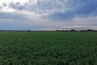 Aangenaam chalet in Rivero de Posadas met...