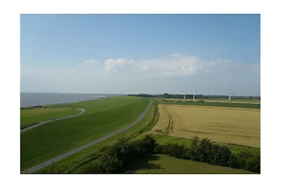 Ferienhaus in Wremen mit Schwimmbecken