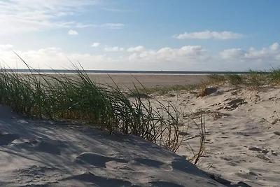6 Personen Ferienhaus in Fanø-By Traum