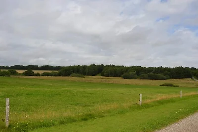 4 Personen Ferienhaus in Ansager